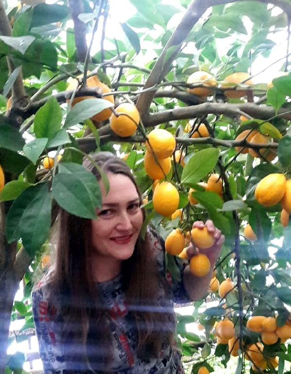 «Раньше мы выращивали цветы на продажу, а сейчас — лимоны»: жители Запорожья наладили успешный бизнес «Раньше мы выращивали цветы на продажу, а сейчас — лимоны»: жители Запорожья наладили успешный бизнес
