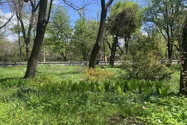 ДВА БОТСАДА В ОДЕССЕ: НА ЧТО СМОТРЕТЬ И В КАКОЙ ЛУЧШЕ ПОЙТИ