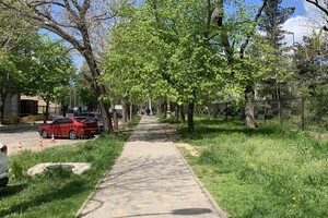 ДВА БОТСАДА В ОДЕССЕ: НА ЧТО СМОТРЕТЬ И В КАКОЙ ЛУЧШЕ ПОЙТИ