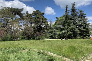 ДВА БОТСАДА В ОДЕССЕ: НА ЧТО СМОТРЕТЬ И В КАКОЙ ЛУЧШЕ ПОЙТИ