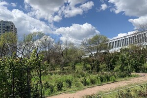 ДВА БОТСАДА В ОДЕССЕ: НА ЧТО СМОТРЕТЬ И В КАКОЙ ЛУЧШЕ ПОЙТИ
