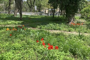 ДВА БОТСАДА В ОДЕССЕ: НА ЧТО СМОТРЕТЬ И В КАКОЙ ЛУЧШЕ ПОЙТИ
