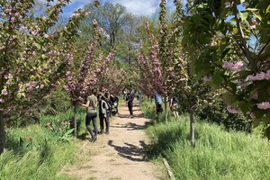 ДВА БОТСАДА В ОДЕССЕ: НА ЧТО СМОТРЕТЬ И В КАКОЙ ЛУЧШЕ ПОЙТИ