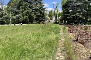 ДВА БОТСАДА В ОДЕССЕ: НА ЧТО СМОТРЕТЬ И В КАКОЙ ЛУЧШЕ ПОЙТИ