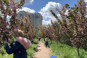 ДВА БОТСАДА В ОДЕССЕ: НА ЧТО СМОТРЕТЬ И В КАКОЙ ЛУЧШЕ ПОЙТИ