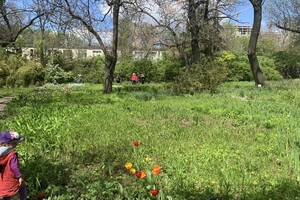 ДВА БОТСАДА В ОДЕССЕ: НА ЧТО СМОТРЕТЬ И В КАКОЙ ЛУЧШЕ ПОЙТИ