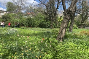ДВА БОТСАДА В ОДЕССЕ: НА ЧТО СМОТРЕТЬ И В КАКОЙ ЛУЧШЕ ПОЙТИ