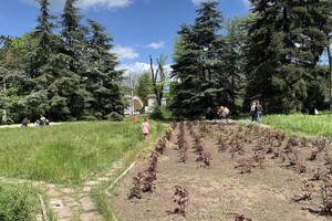 ДВА БОТСАДА В ОДЕССЕ: НА ЧТО СМОТРЕТЬ И В КАКОЙ ЛУЧШЕ ПОЙТИ