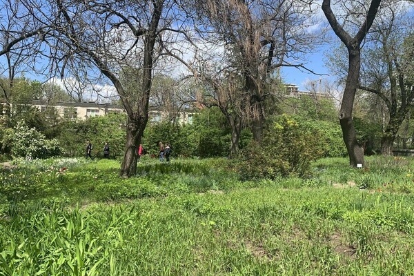 ДВА БОТСАДА В ОДЕССЕ: НА ЧТО СМОТРЕТЬ И В КАКОЙ ЛУЧШЕ ПОЙТИ