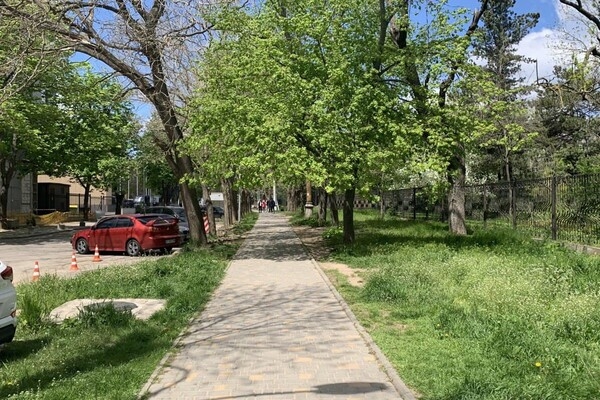 ДВА БОТСАДА В ОДЕССЕ: НА ЧТО СМОТРЕТЬ И В КАКОЙ ЛУЧШЕ ПОЙТИ