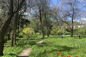 ДВА БОТСАДА В ОДЕССЕ: НА ЧТО СМОТРЕТЬ И В КАКОЙ ЛУЧШЕ ПОЙТИ