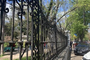 ДВА БОТСАДА В ОДЕССЕ: НА ЧТО СМОТРЕТЬ И В КАКОЙ ЛУЧШЕ ПОЙТИ