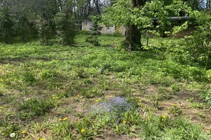 ДВА БОТСАДА В ОДЕССЕ: НА ЧТО СМОТРЕТЬ И В КАКОЙ ЛУЧШЕ ПОЙТИ