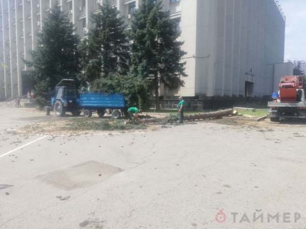 Возле Одесской облгосадминистрации спиливают ели ради сквера Небесной сотни