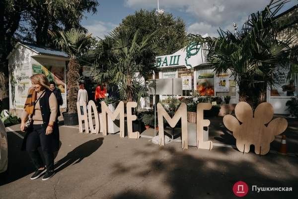 Home Me Fest: как в Одессе проходит самый добрый фестиваль для животных из приютов. Фоторепортаж