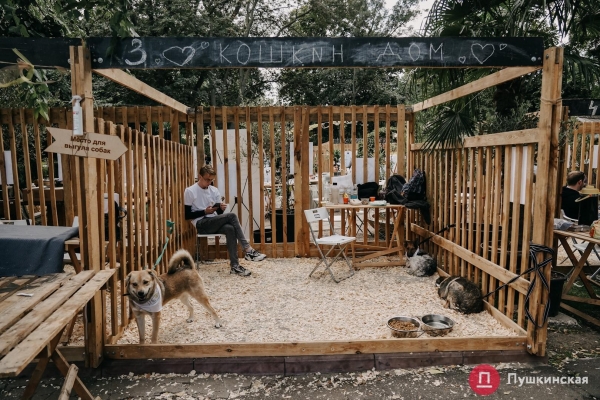 Home Me Fest: как в Одессе проходит самый добрый фестиваль для животных из приютов. Фоторепортаж
