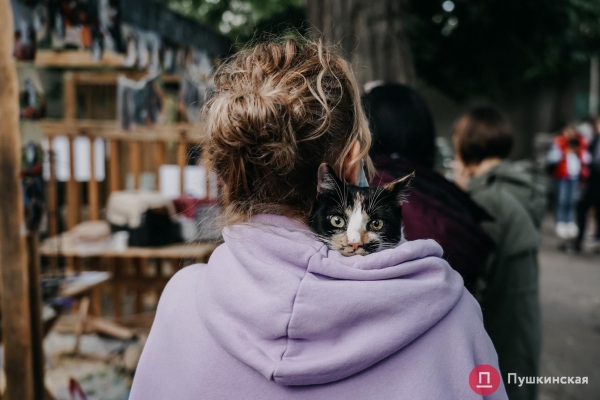 Home Me Fest: как в Одессе проходит самый добрый фестиваль для животных из приютов. Фоторепортаж