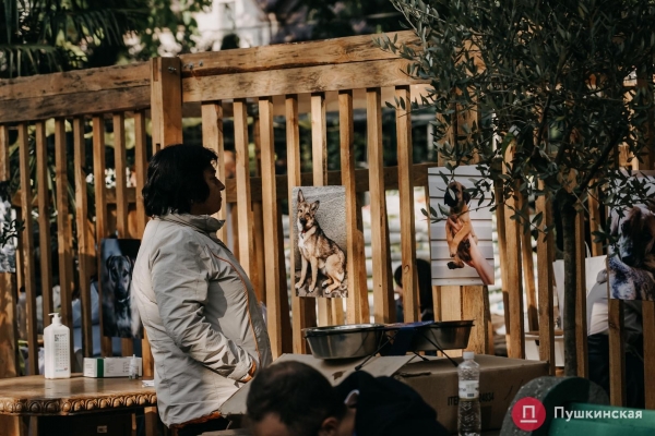 Home Me Fest: как в Одессе проходит самый добрый фестиваль для животных из приютов. Фоторепортаж