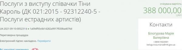 Стало известно, сколько Тина Кароль получит за выступление на Дне города