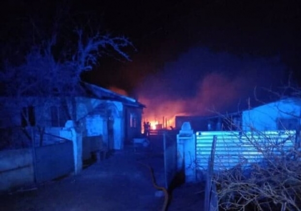 В Одесской области сгорели больше 160 овец