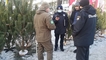 
В Киеве проходят елочные рейды: экологи ищут браконьеров, фото
