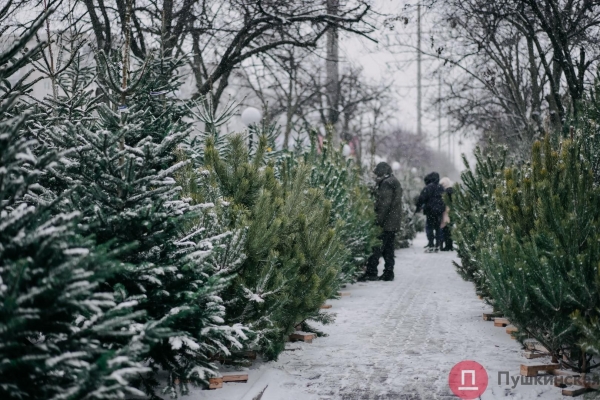 Час снега в Одессе: что мы увидели на Таирова и в центре. Фоторепортаж