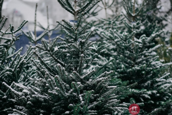 Час снега в Одессе: что мы увидели на Таирова и в центре. Фоторепортаж
