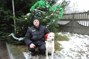 Собаки-таможенники поздравили одесситов с Новым годом
