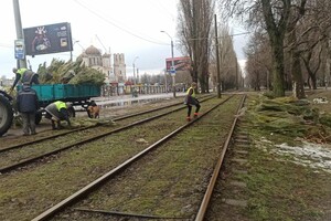 Чтоб не досталось никому: в Одессе торговцы полили брошенные елки солярой