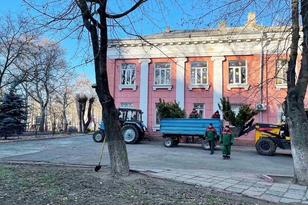 На улицах Одессы высаживают сосны