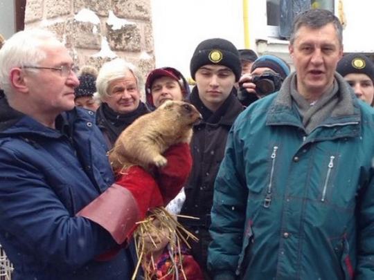 2 лютого у світі відзначають День бабака: історія та традиції свята