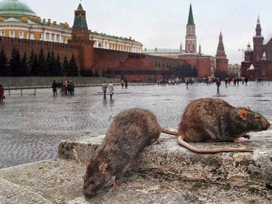 Розкол еліт і паніка: Христо Грозев про ситуацію у Москві