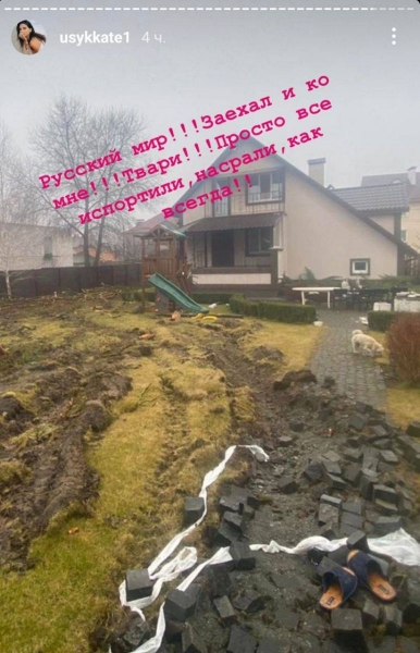 «Усе зіпсували, на*рали, як завжди»: дружина Усика показала, на що «руський мир» перетворив їхній будинок