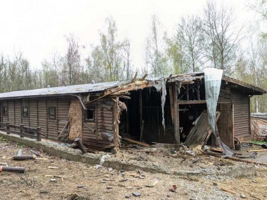 «Це вже шоста жертва»: рашисти вбили 15-річного хлопця, який допомагав евакуювати буйволів з екопарку