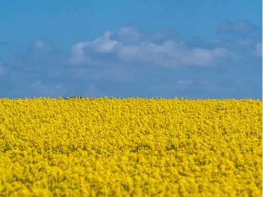 Вітер з південного сходу та справжнє буйство літа: якою буде погода на День Незалежності-2022