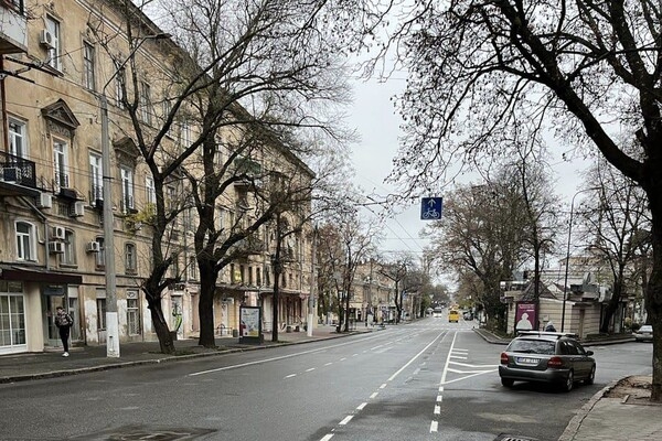 В центре Одессы появились велодорожка и дорожная разметка