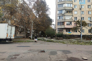 Непогода в Одессе повалила деревья: коммунальщики ликвидируют последствия (фото)