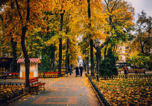 Литературные чтения Meridian Odesa и Halloween-фестиваль: куда пойти в Одессе в пятницу и эти выходные