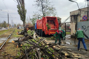 Непогода в Одессе повалила деревья: коммунальщики ликвидируют последствия (фото)