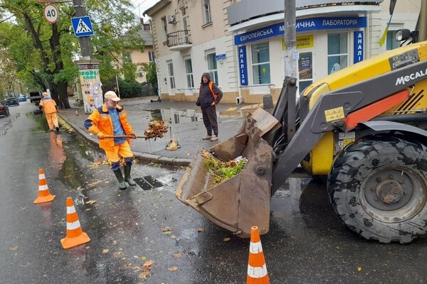 Непогода в Одессе повалила деревья: коммунальщики ликвидируют последствия (фото)
