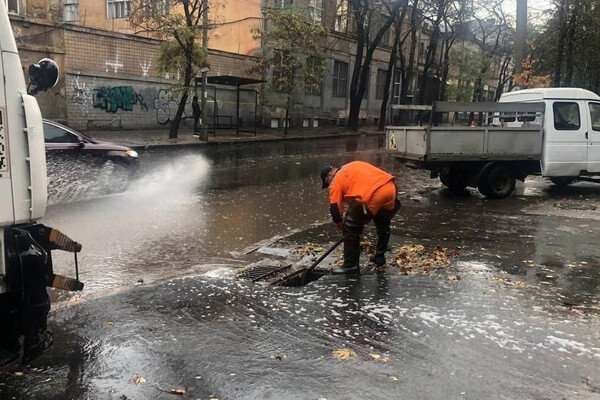 Непогода в Одессе повалила деревья: коммунальщики ликвидируют последствия (фото)