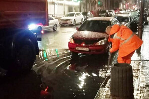 Непогода в Одессе повалила деревья: коммунальщики ликвидируют последствия (фото)