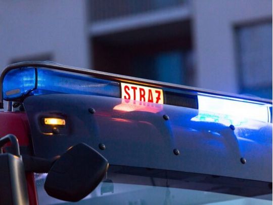 15-річний чеський школяр втік з&nbsp;дому, щоб воювати в&nbsp;Україні