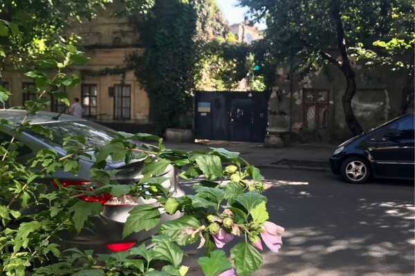 Новые названия: кто такой Александр Станков и почему в честь него переименовали улицу Лейтенанта Шмидта в Одессе