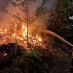 Разрушительные лесные пожары в Португалии: трагедия и борьба