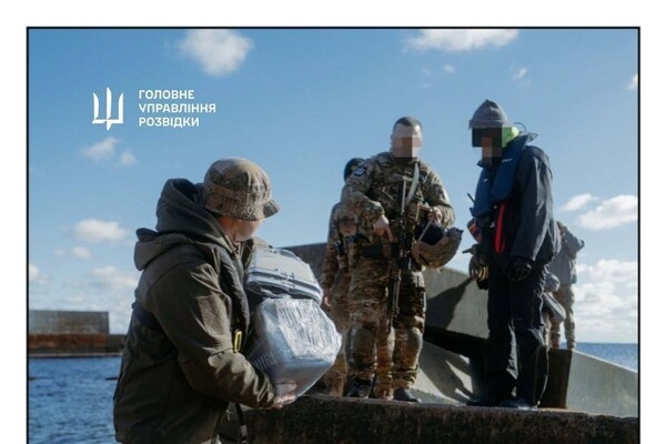 С острова Змеиный эвакуировали котов