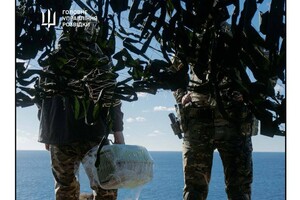 С острова Змеиный эвакуировали котов