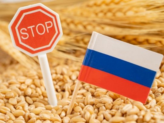 В ЄС знайшли ще один спосіб завдати збитків рф: про що йде мова