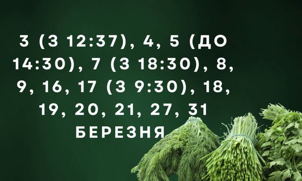 Просто «золоті дні»: відома городниця порадила, коли посіяти овочі у березні (відео)