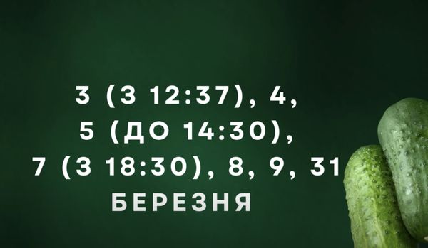 Просто «золоті дні»: відома городниця порадила, коли посіяти овочі у березні (відео)